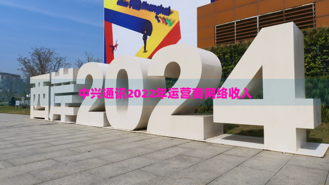 中兴通讯2022年运营商网络收入